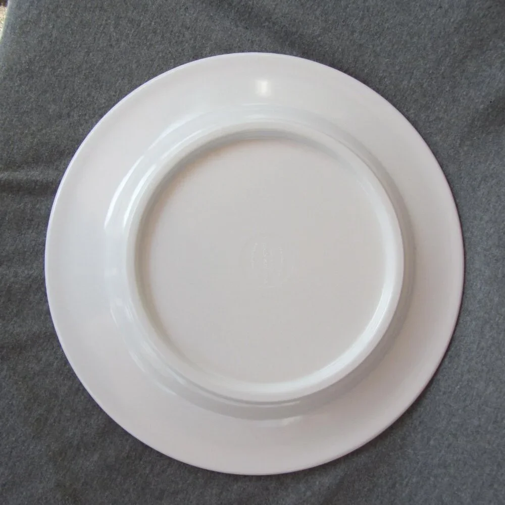 Williams Sonoma melamine dinner plates set of 2 (W3266)